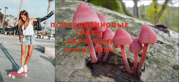 крисы Пестово