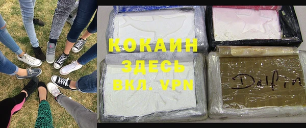 крисы Пестово