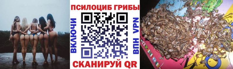 Псилоцибиновые грибы мухоморы Купить закладки Светлоград