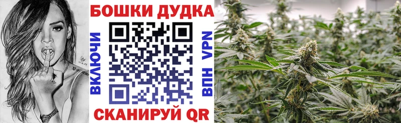 Шишки марихуана конопля Светлоград